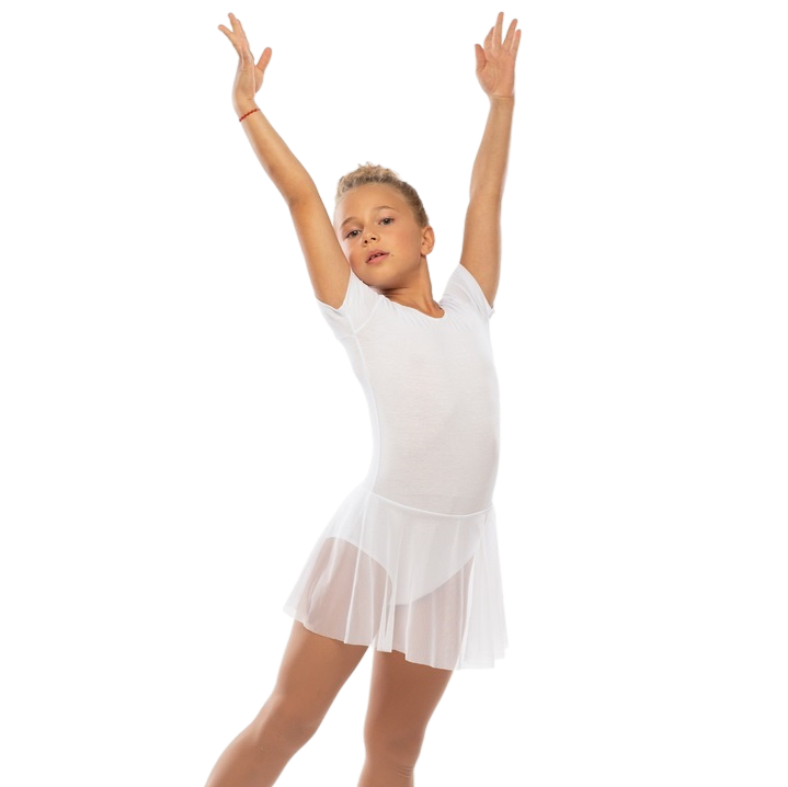 Купальник гимнастический, рукав - футболка, юбка - сетка ДГ880 Korri