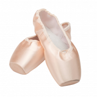 ПУАНТЫ BLOCH
